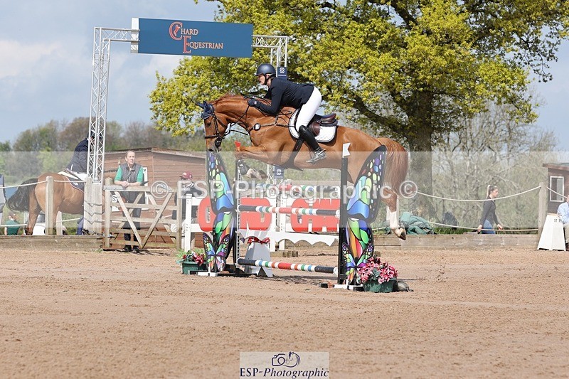 250427-113012-15952 - Cls 36 Young Horse 7yr old