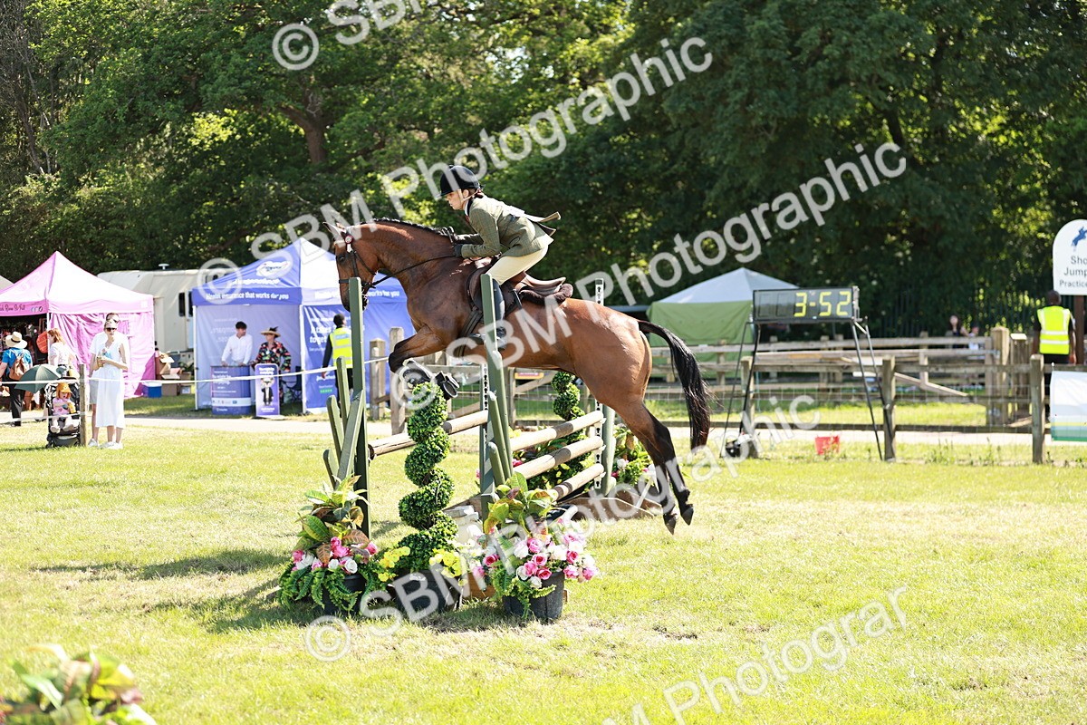 SBM_18834 - Class 114 - RIHS & SEIB Open Working Show Horse
