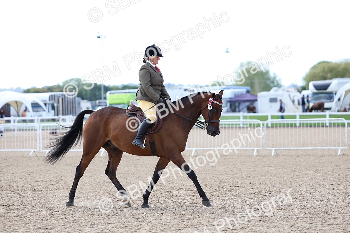 SBM_09159 - Class 303 - Ridden Pure Bred Horse Pony