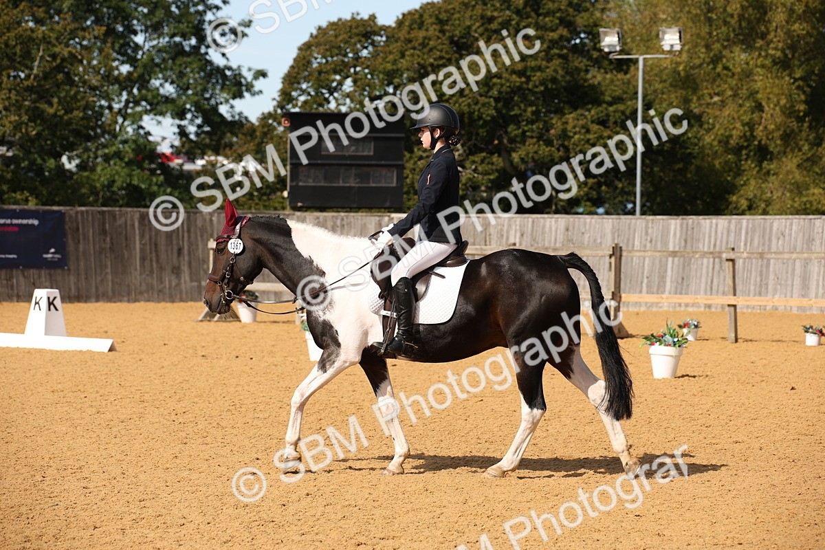 SBM_24115 - D5 - Small Tour Championship - Intro C