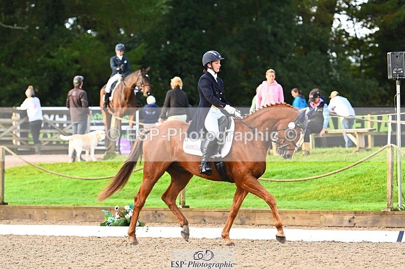 231021-090244-12751 - 322-BALLYBOLGER.LIONMAN-Sarah.Perry-DR