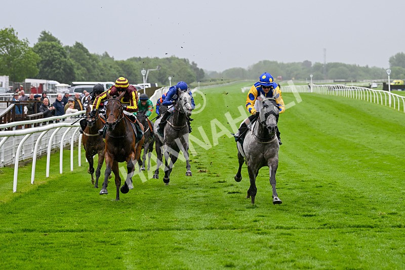 230524-Race 5-King Of Tonga-1831 - Race 5