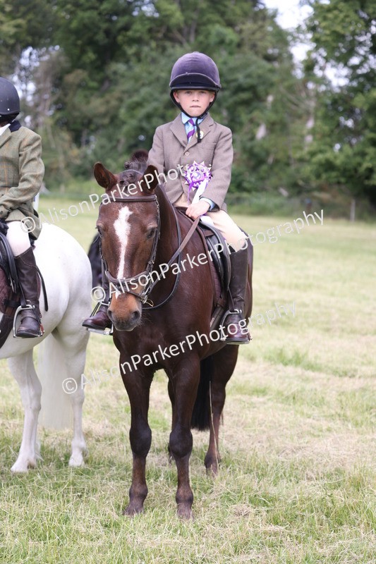 20260614-0839 - Class 20 - Beginners Working Hunter Pony