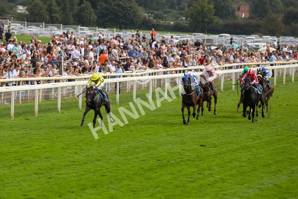 100923-Race 4-Tropical Island-3890 - Race 4 3.15pm Edge Windows Nursery Handicap at York