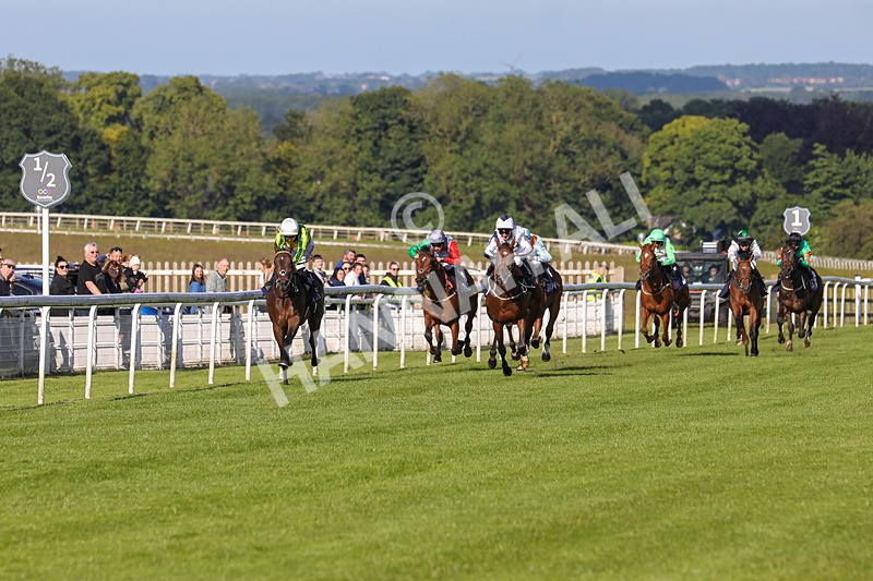 180624-Race 1-Paps Turf-7509 - Race 1