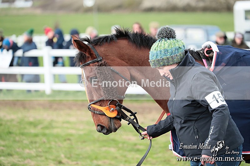 PtP 230324 745 - Tedworth Hunt PtP Larkhill Raccourse 23rd March 2024