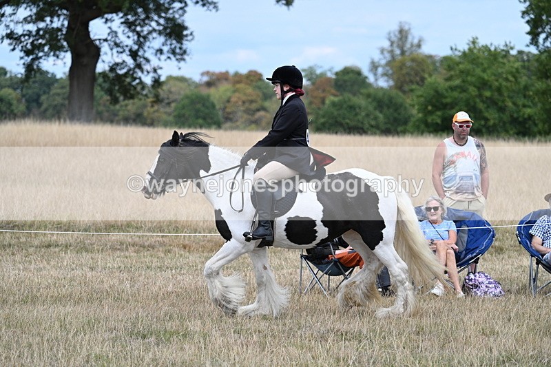 WJ7_4461 - Class 11 Family Mount