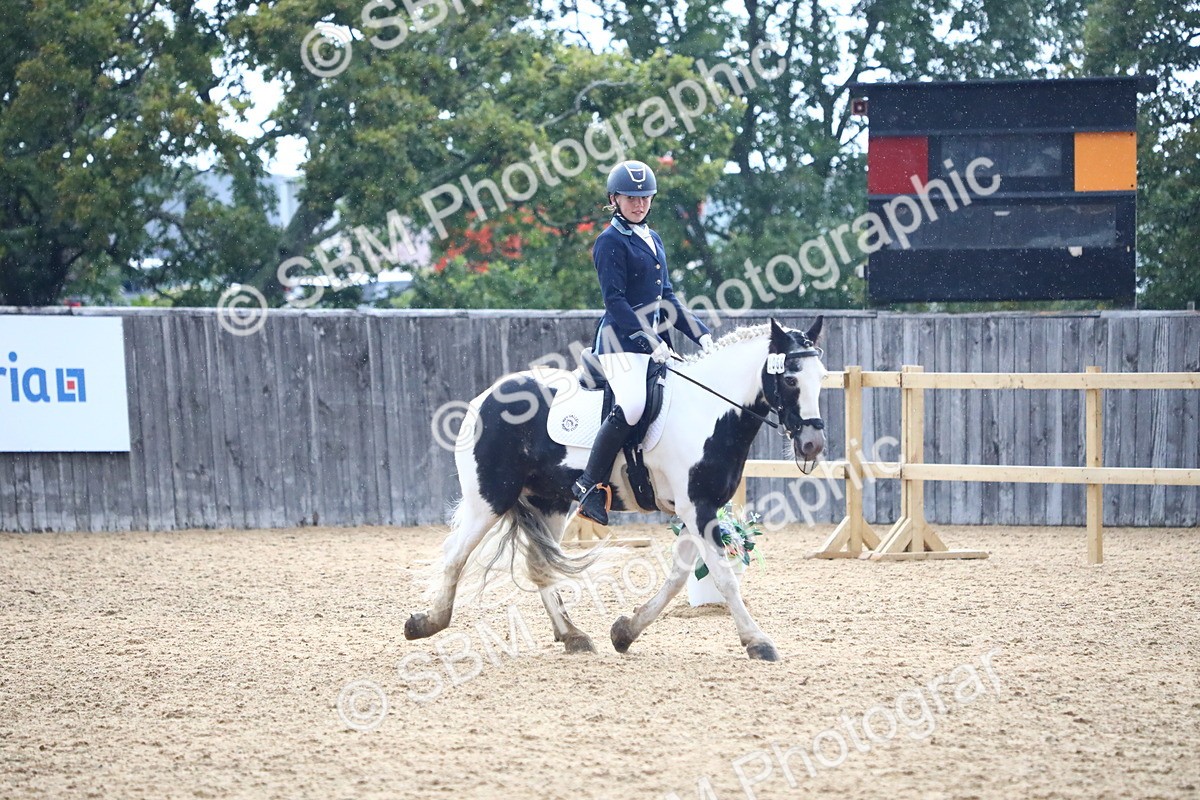 SBM_42787 - D21 - Junior Championship Intro 1