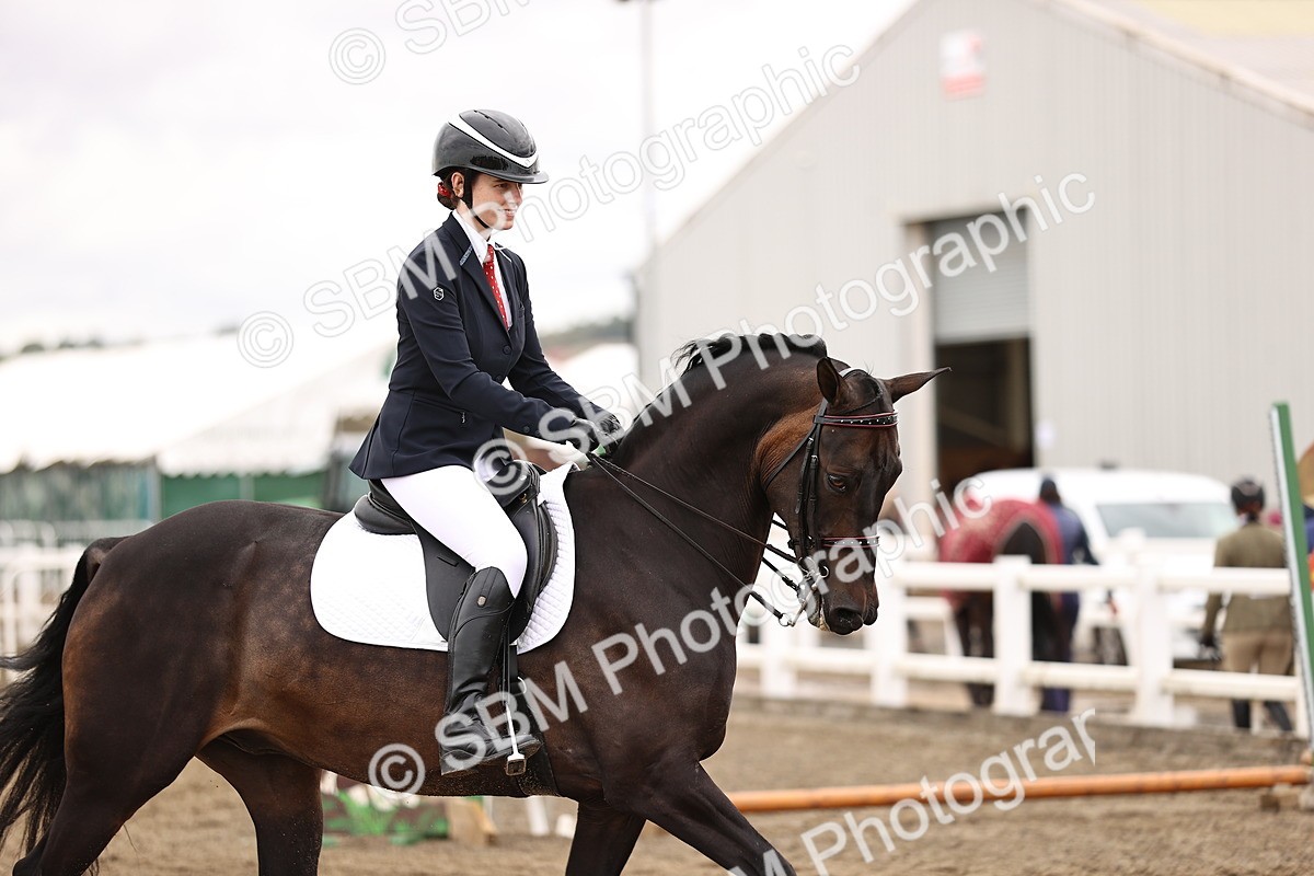 SBM_01425 - Class 54 - Riding Club Horse Pony