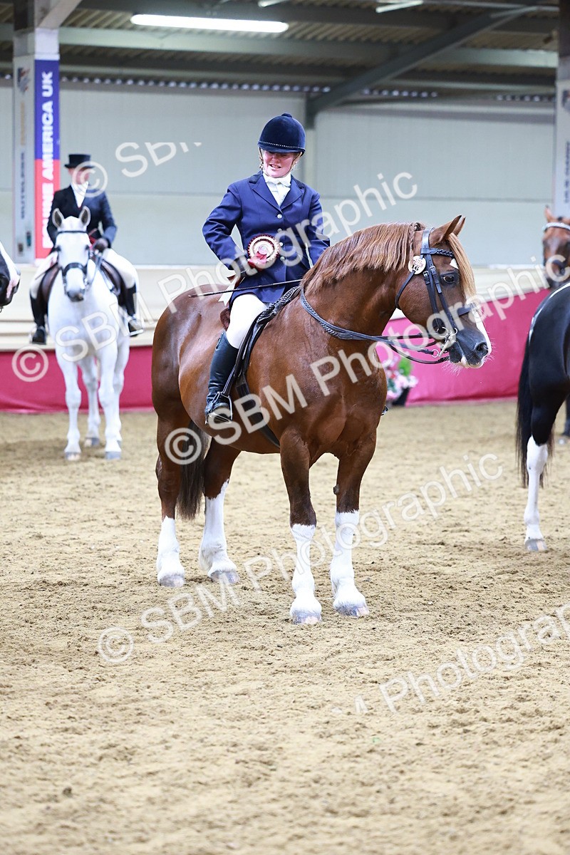 SBM_23547 - class 906 - Supreme Final - Ridden Pre Vet
