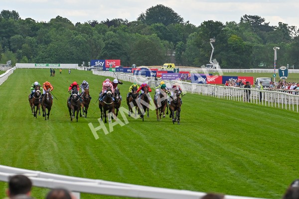140625-Race 1-Humam-9165 - Race 1 1.50pm Doug Johnston Memorial Ubettabelieveit Macmillan Handicap