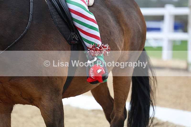 3E7A3674 - Class 2: Intro Section B