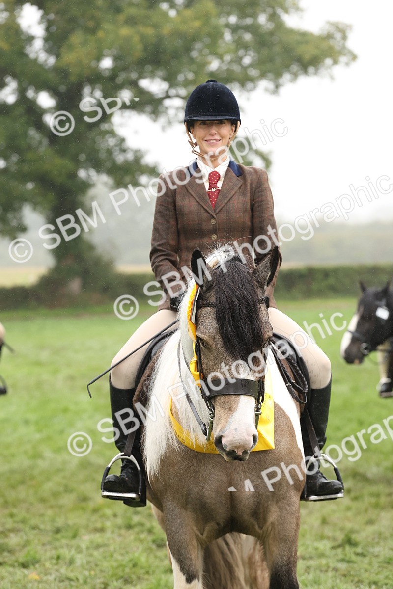 SBM_72852 - S70 - Traditional Cob Ridden