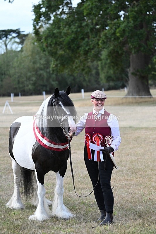 WJ7_8398 - In-hand Championship