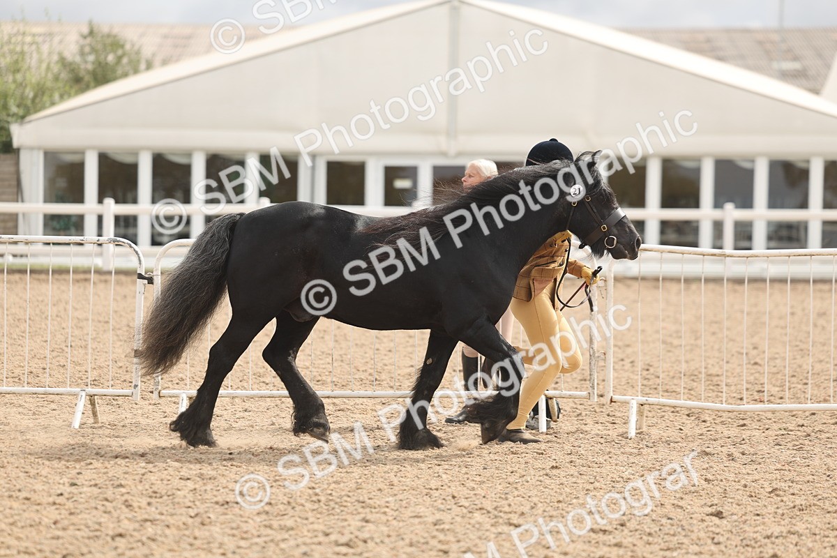 SBM_04927 - Class 20 - IH Veteran