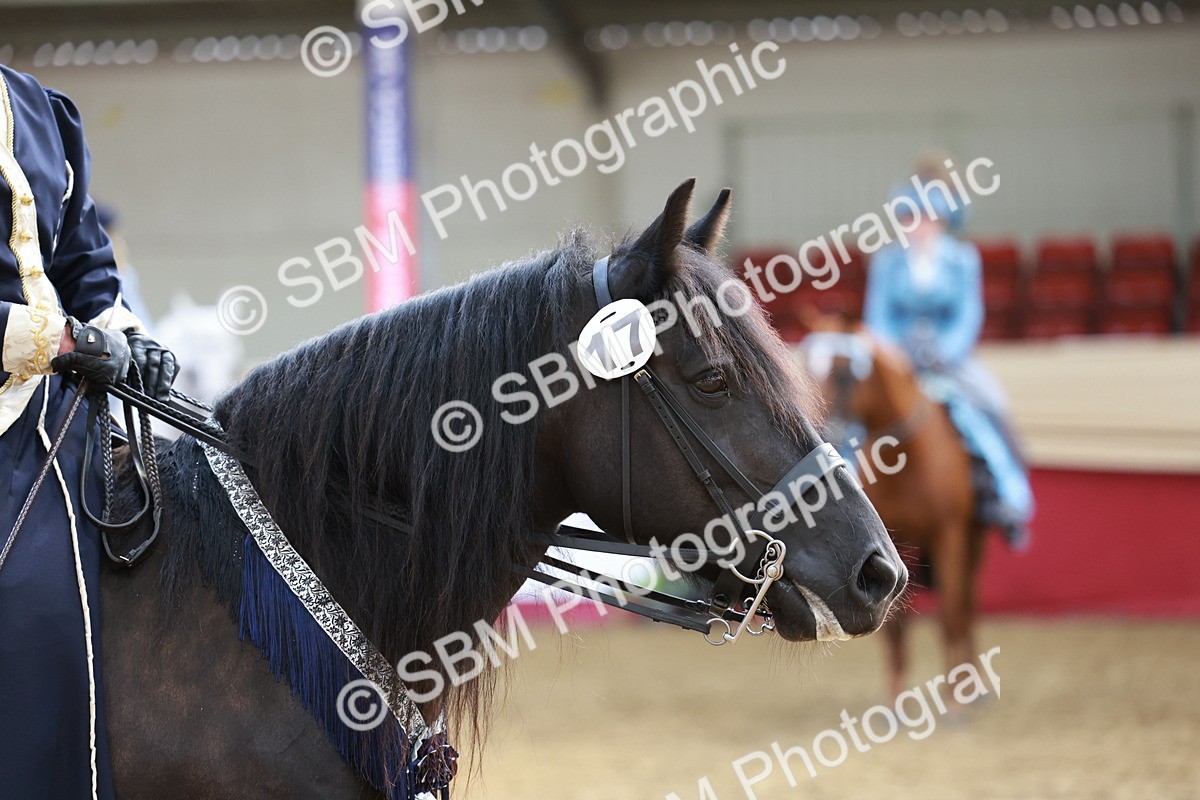 SBM_13716 - Class 106 - Ridden Costume -Astride Adult (15-19)