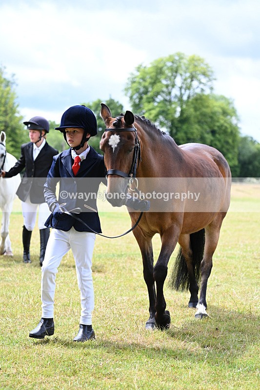 WJ7_6574 - Class 5 Handsome Gelding in hand