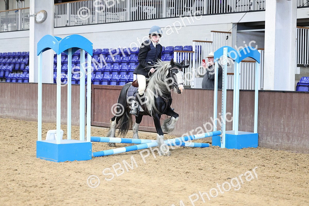SBM_006975 - Class 1 - 40cm showjumping