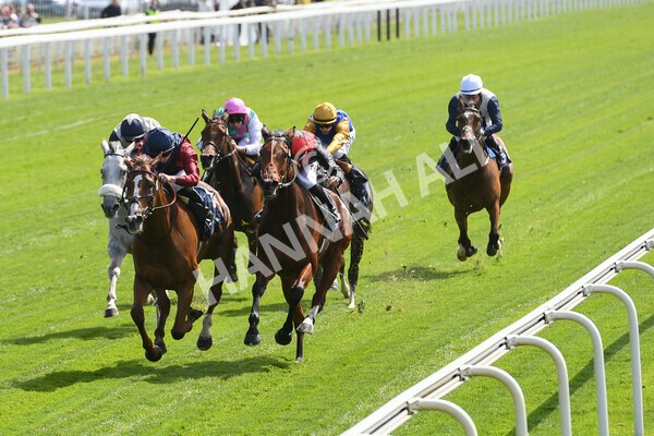 yr12052022r2-19 - Race 2 2.25pm Al Basti Equiworld Dubai Middleton Fillies' Stakes