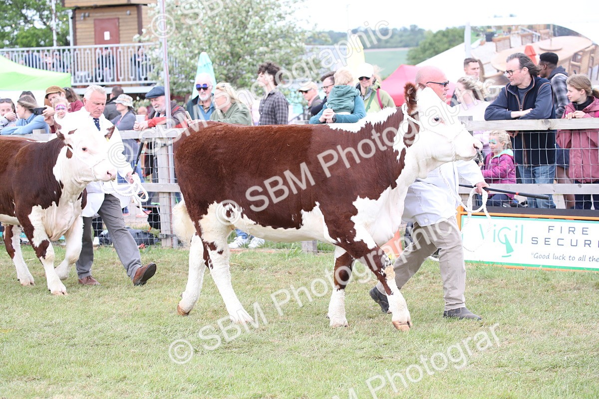 SBM_07836 - Grand Parade