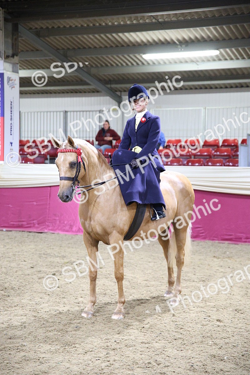 5K7A1506 - Class L Side Saddle Champ