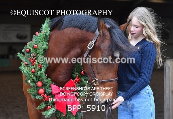 BPP_5910 - Marion West pony 3