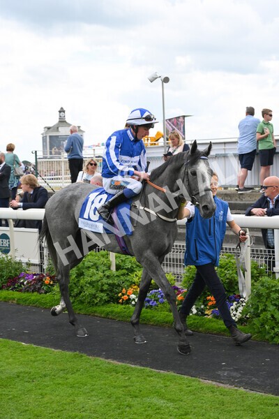 yr11062022r5-11 - Race 5 3.40pm The Pavers Foundation Catherine Memorial Sprint Stakes