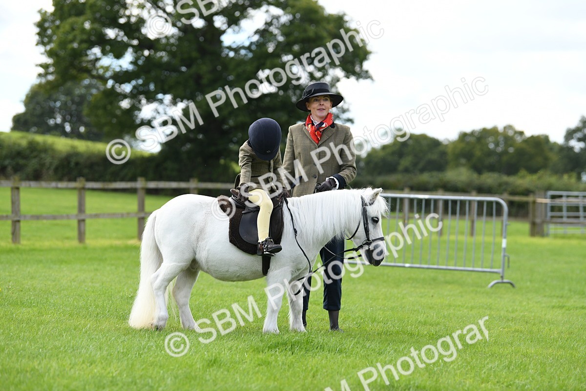 SBM_42442 - S20 - Lead Rein Mountain & Moorland Pony