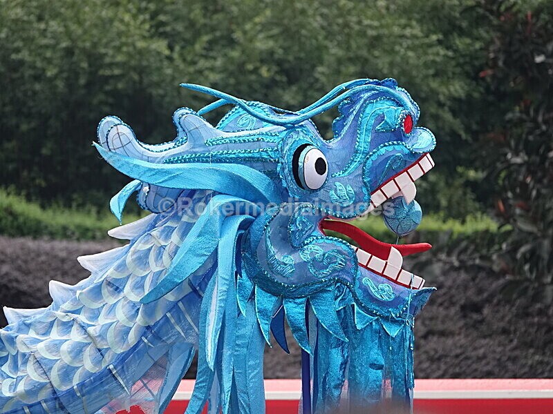 CHINA__0433 - China 2019