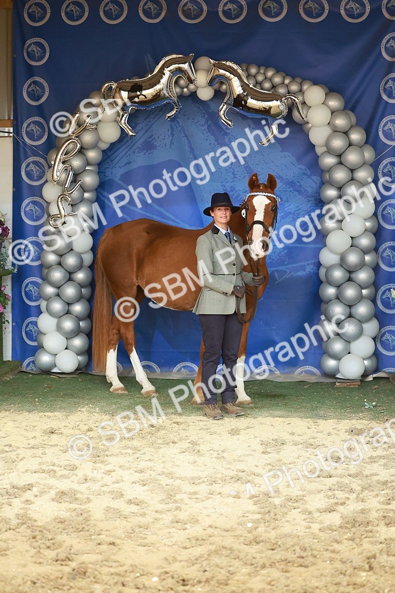 SBM_13719 - Class 104 - IH  Costume