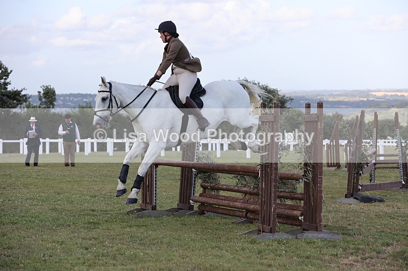 JPP_3610 - Class 24: Open Working Hunter