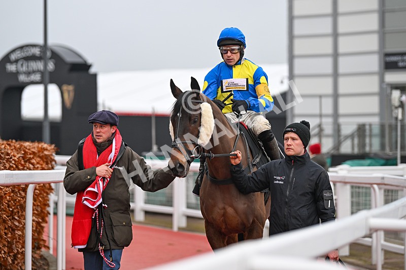 131224-Race 5-Shan Blue-9289 - Race 5