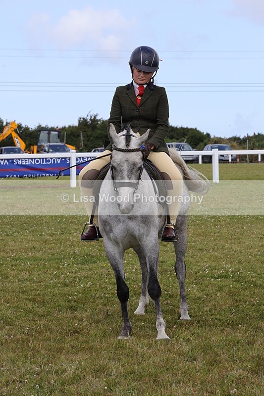1X9A4114 - Class 32: Show Hunter Pony 153cm and under