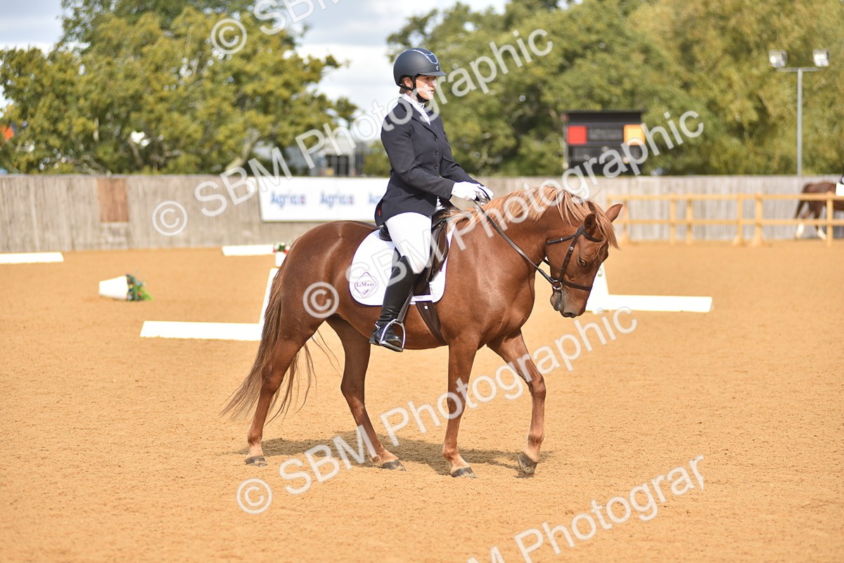 SBM_03298 - D4 - Small Tour Championship Intro 4