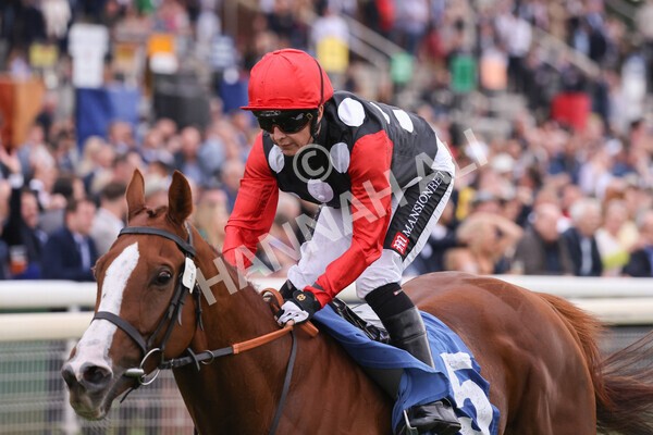 yr24092021r6-29 - Race 6 4.25pm William Hill Pick Your Places Stakes