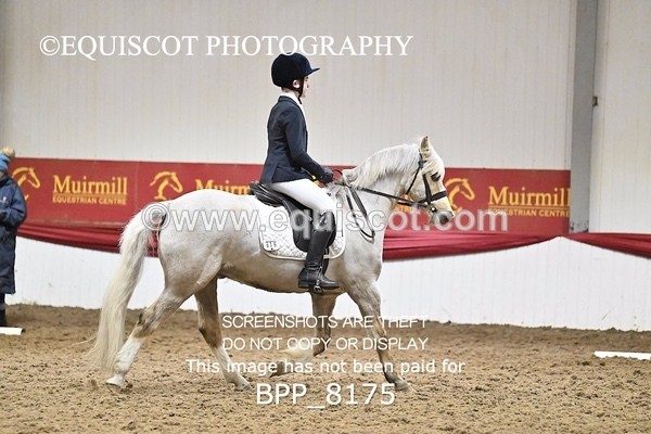 BPP_8175 - INTRO 2