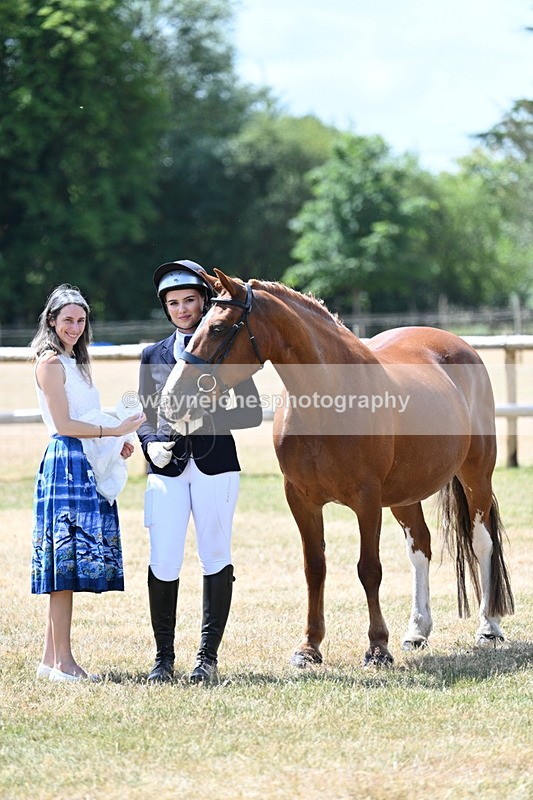 WJ7_2051 - Class 4a Prettiest Mare 14.2hh and over hand