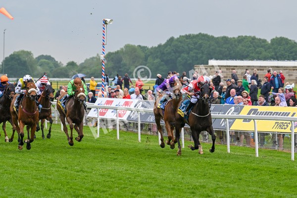 150524-Race 2-Aleezdancer-3817 - Race 2 2.45pm Churchill Tyres Handicap