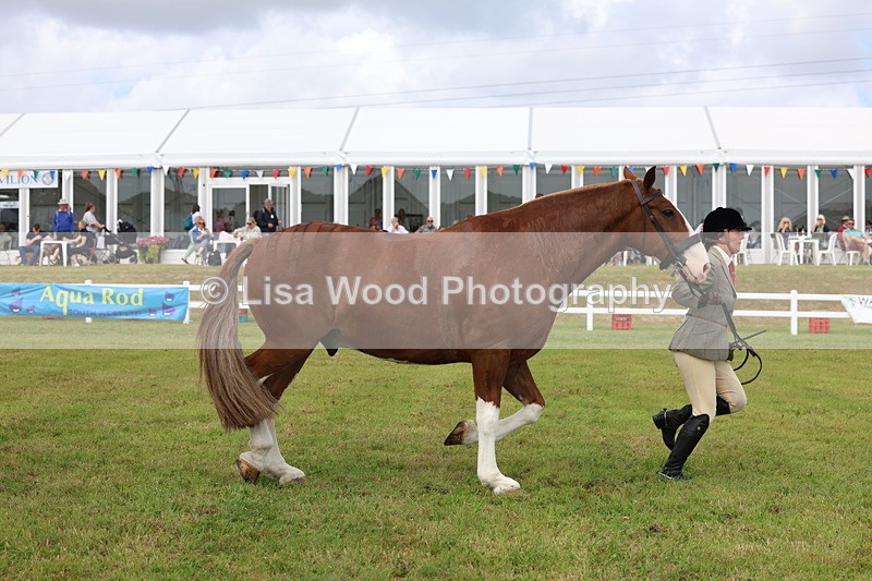 3E7A0384 - Class 6: Rising Star Maxi Cobs