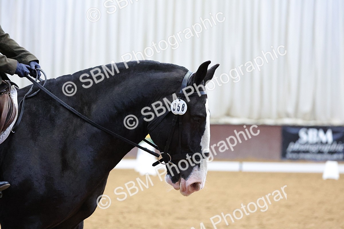 SBM_000643 - Class 3 - Prelim 2