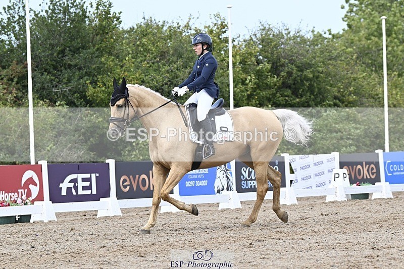 250907-131658-09887 - 025-Carrie.EveGekkos.Gold