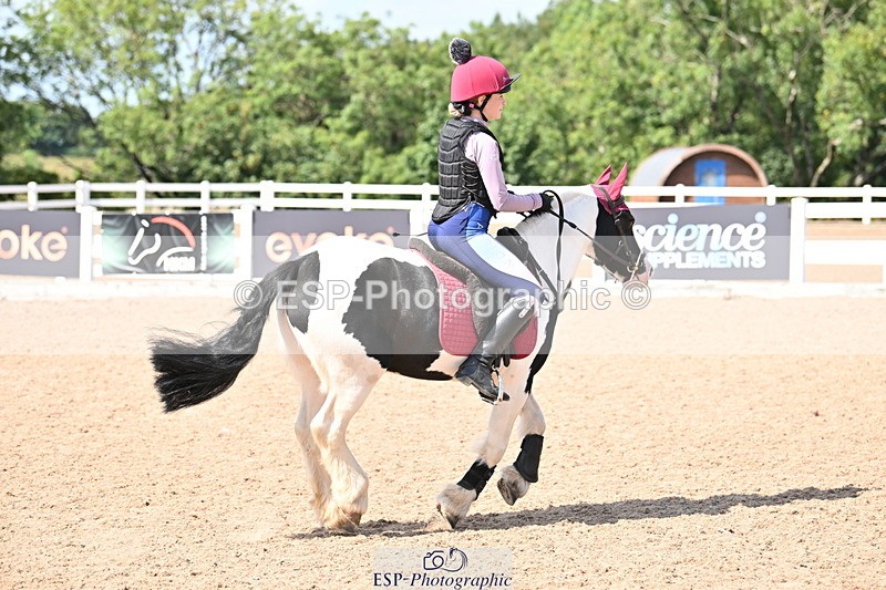 250821B-145819-00900 - Group D - Thomasina