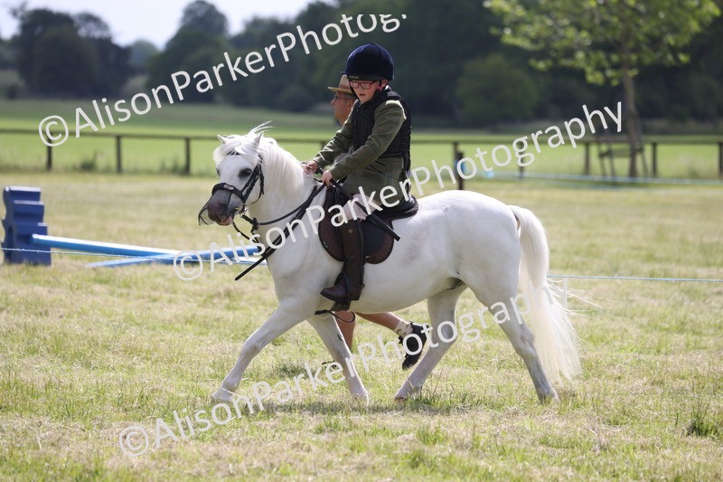 20260614-0734 - Class 20 - Beginners Working Hunter Pony