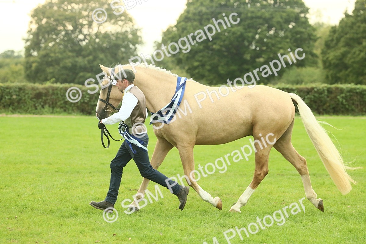 SBM_75187 - Super Supreme Championship