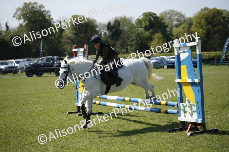 20250427-2220 - Class 13 - Novice Jumping 60cm