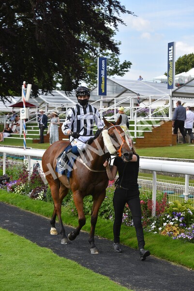 yr09072021r6-16 - Race 6 4.55pm Longines Irish Champions Weekend Stakes