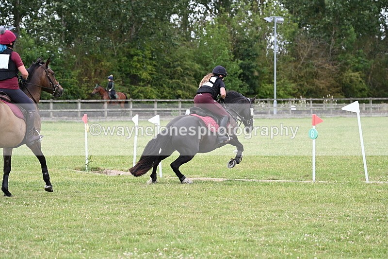 WJ6_5730 - 60cm Pairs XC