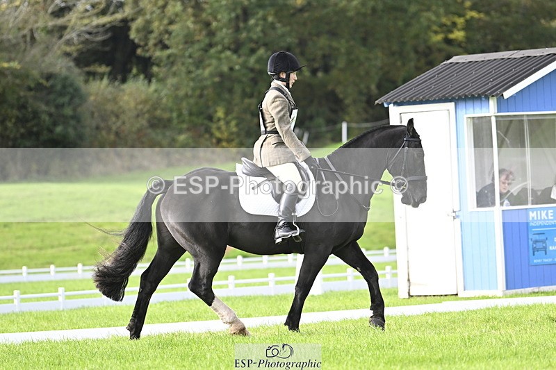 251023A-105856-02977 - F-410-Kt.English-Baillie