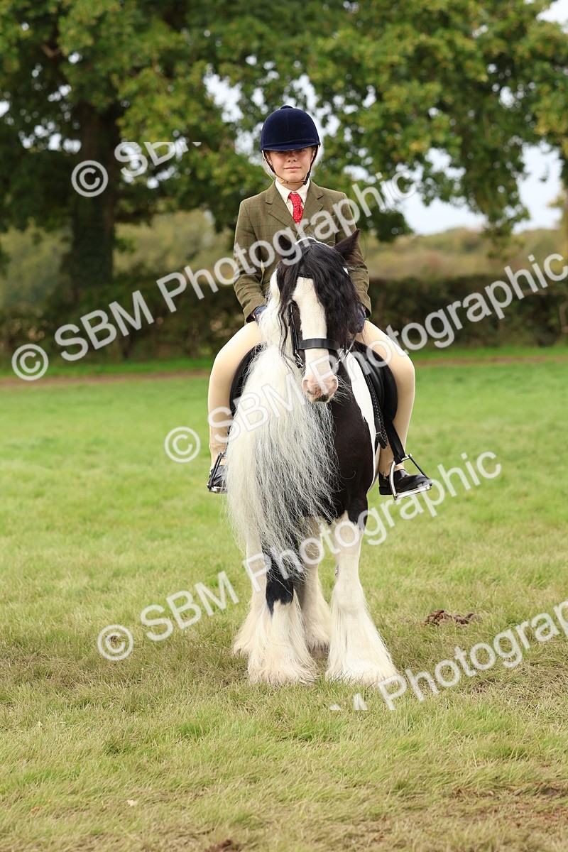 SBM_64456 - S58 - Coloured Pony Ridden