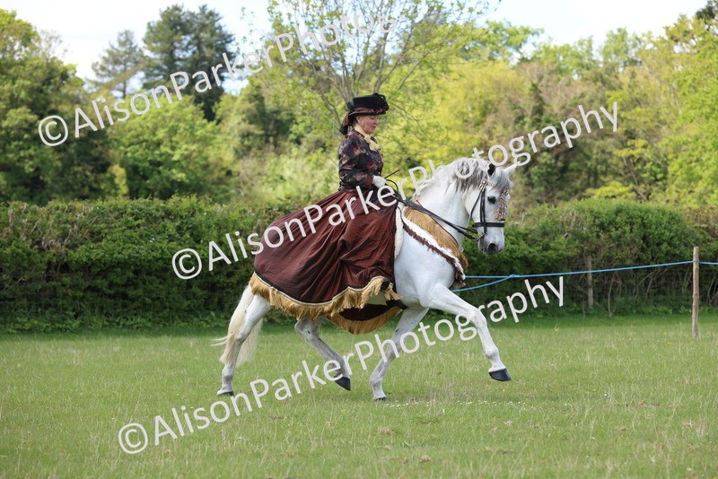 20250427-3900 - Class 22 - Concour's D'Elegance